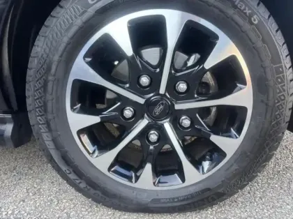 Photo 8 Ford Custom Gén. I Ph2 Sport 5