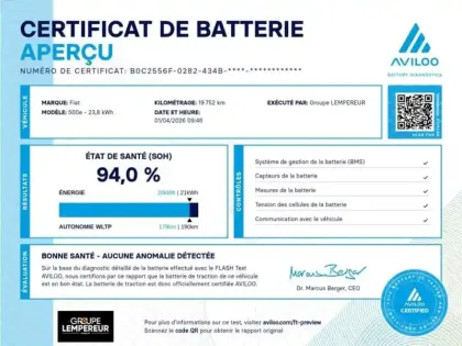 Photo Fiat 500 Icône