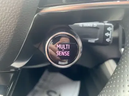 Photo 29 Renault Austral Gén. I (HHN) Ph1 Iconic 5