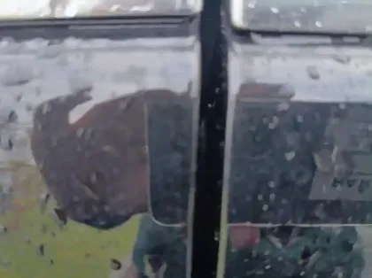 Photo 19 Mercedes CLA Gén. II Ph2 Avantgarde 5