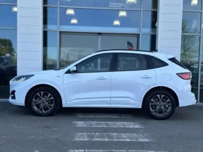 Photo 7 Ford Kuga Gén. III Ph1 ST-Line 5