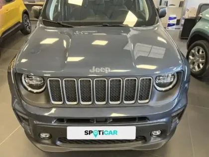 Photo 13 Jeep Renegade Gén. I Ph2 NG2 Summit 5