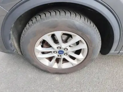 Photo 14 Ford Kuga  2.0 EcoBlue 150ch mHEV Titanium