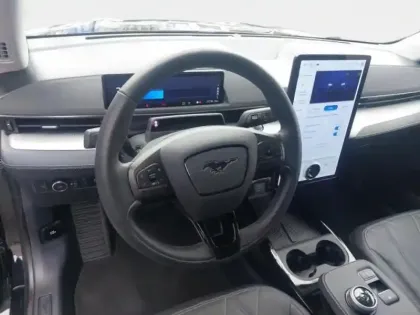 Photo 14 Ford Mustang Gén. I Ph1 Base 5