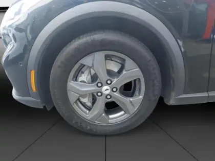 Photo 10 Ford Mustang Gén. I Ph1 Base 5