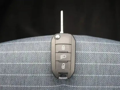 Photo 14 Peugeot 208 Gén. II Ph1 NG Like 5