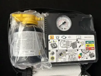 Photo 79 Dacia Sandero  ECO-G 100