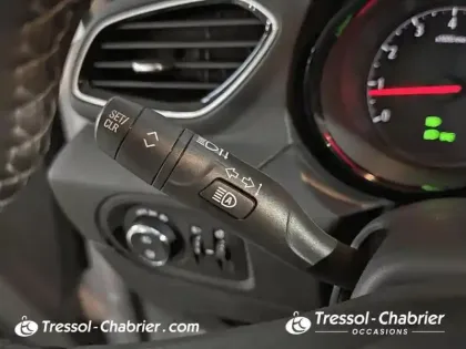 Photo 16 Opel GRANDLAND X BUSINESS Grandland X 1.2 Turbo 130 ch BVA8 Edition Business