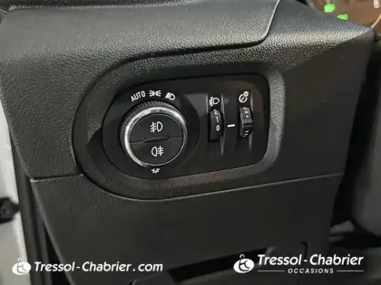 Photo 27 Opel GRANDLAND X BUSINESS Grandland X 1.2 Turbo 130 ch BVA8 Edition Business