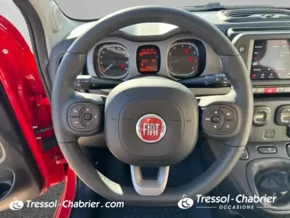 Photo 11 Fiat Panda  1.0 70 ch Hybride BSG S/S City Cross
