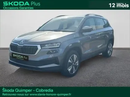 Photo Skoda Karoq Business