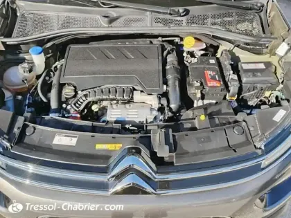 Photo 28 Citroën C4  Cactus PureTech 110 S&S BVM6 Shine