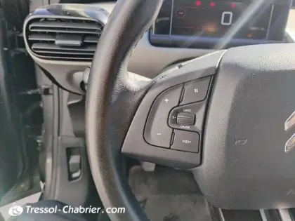 Photo 15 Citroën C4  Cactus PureTech 110 S&S BVM6 Shine