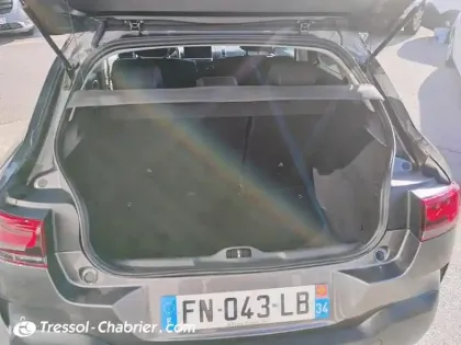 Photo 17 Citroën C4  Cactus PureTech 110 S&S BVM6 Shine