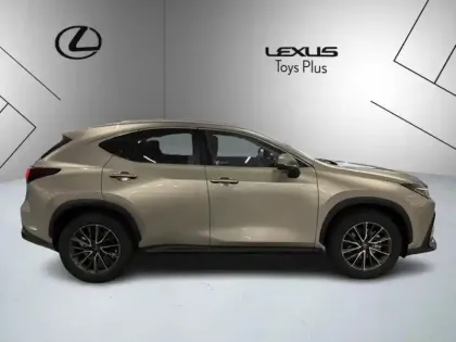 Photo 5 Lexus Nx Gén. II Ph1 Luxe 5