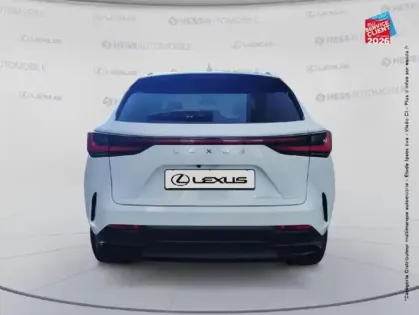 Photo 21 Lexus Nx Gén. II Ph1 Luxe Plus 5