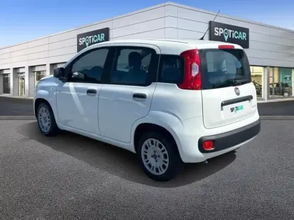 Photo 29 Fiat Panda Gén. III Ph1 NG City Cross 5