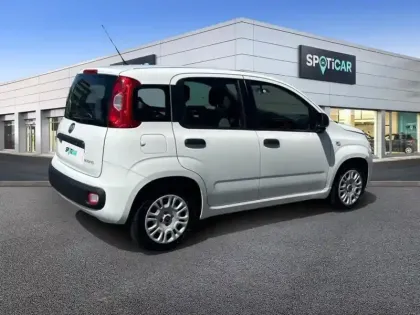Photo 27 Fiat Panda Gén. III Ph1 NG City Cross 5