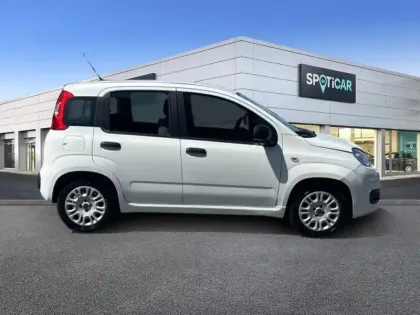 Photo 5 Fiat Panda Gén. III Ph1 NG City Cross 5