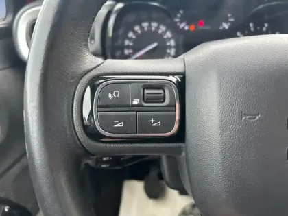 Photo 18 Citroën C3 Gén. III Ph2 Shine 5