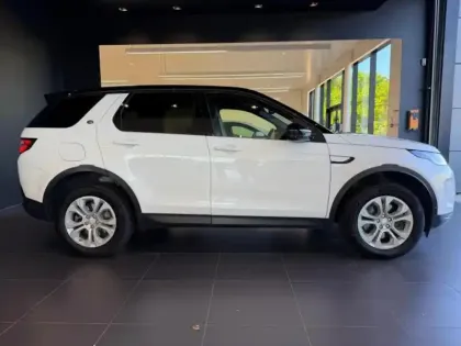 Photo 5 Land rover Discovery Sport  P300e S AWD BVA Mark VI