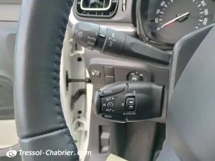 Photo 16 Citroën C3 Gén. III Ph2 Shine 5