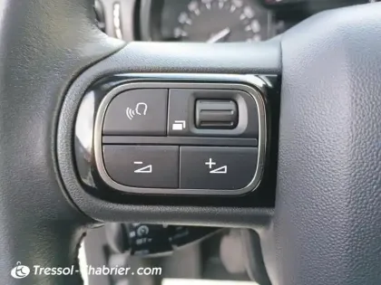 Photo 18 Citroën C3 Gén. III Ph2 Shine 5