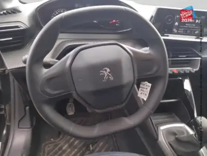 Photo 11 Peugeot 208 Gén. II Ph1 NG Like 5