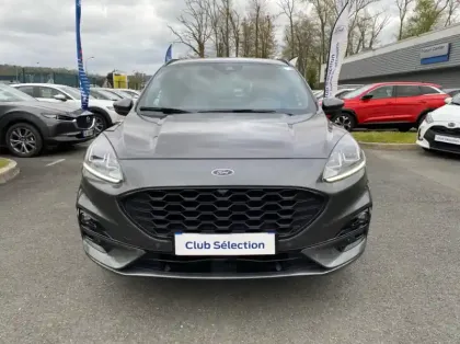 Photo 22 Ford Kuga Gén. III Ph1 ST-Line 5