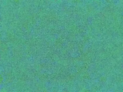 Photo 14 Ford Kuga Gén. III Ph2 ST-Line X 5