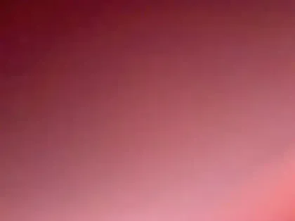 Photo 17 Ford Kuga Gén. III Ph2 ST-Line X 5