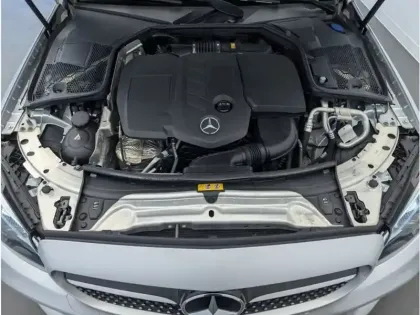 Photo 31 Mercedes Classe C 220 d AMG Line CAB/20