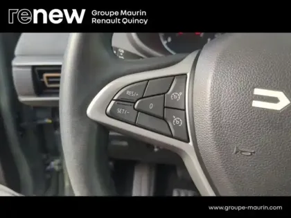 Photo 14 Dacia Sandero  1.0 ECO-G 100ch Stepway Extreme -24