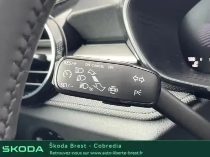 Photo 13 Skoda Fabia  1.0 TSI Evo2 116ch Clever Edition DSG7