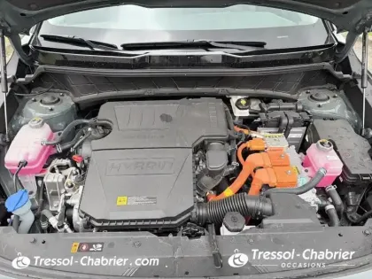 Photo 6 Kia Niro Gén. II Ph1 Evo Active Business 5