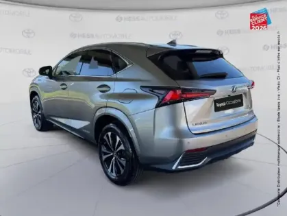 Photo 7 Lexus Nx  300h 2WD Design MY21