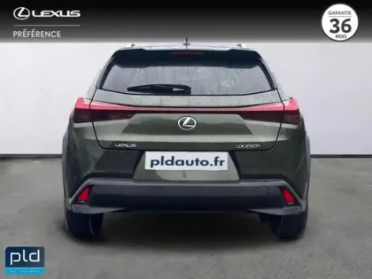 Photo 6 Lexus UX  250h Le 2WD