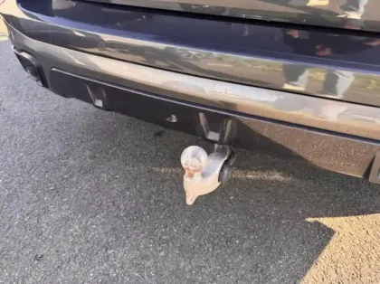 Photo 12 BMW X5  xDrive45e 394ch M Sport 17cv