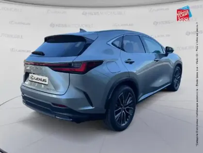 Photo 20 Lexus Nx  450h+ Executive 4WD MY25