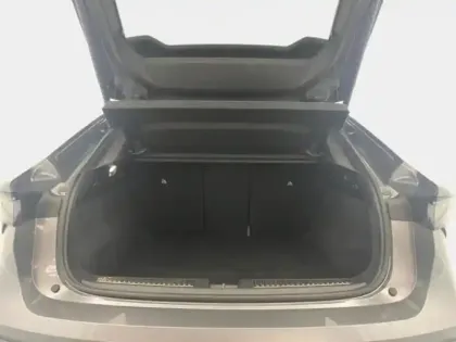 Photo 8 Renault Rafale Gén. I (DHN) Ph1 esprit Alpine 5