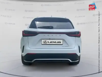 Photo 6 Lexus Nx  450h+ F SPORT Executive 4WD MY25