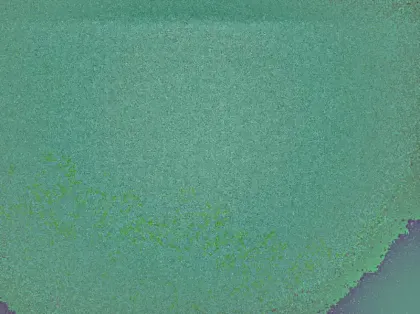 Photo 17 Mazda 2 Hybrid 1.5 116ch Pure