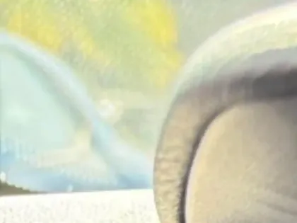 Photo 13 Citroën C4  PureTech 130ch S&S Feel Pack