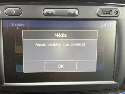 Photo 19 Dacia Lodgy 7 Places 15 Ans Blue dCi 115 -2020