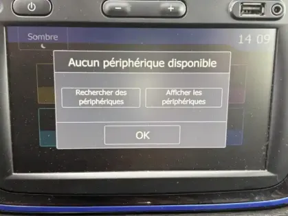 Photo 16 Dacia Lodgy 7 Places 15 Ans Blue dCi 115 -2020