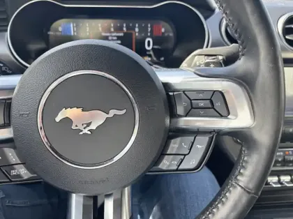 Photo 17 Ford Mustang Fastback 5.0 V8 450ch 55