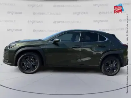 Photo 8 Lexus UX  250h Le 2WD