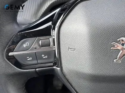 Photo 14 Peugeot 2008  PureTech 100 S&S BVM6