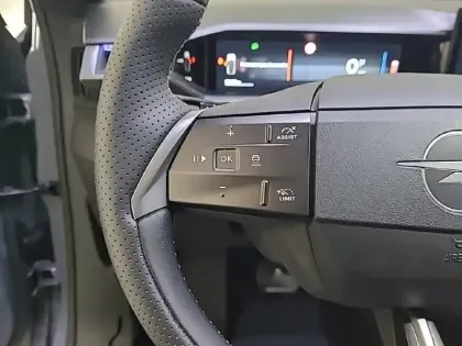 Photo 21 Opel Grandland  1.2 Turbo Hybrid 136 ch e-DCT6