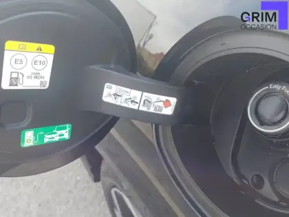 Photo 19 Ford Puma  1.0 EcoBoost 125 ch mHEV S&S Powershift